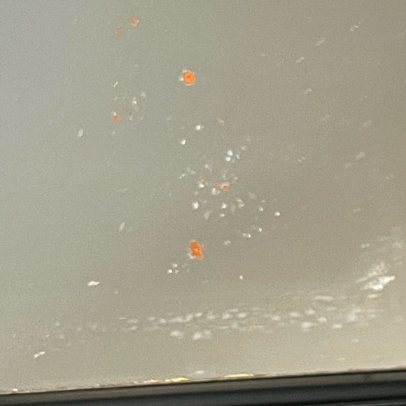 Asian Black Lacquer Ware Plastic Floral Jewelry Trinket Box Hong Kong Mirror - Picture 5 of 8